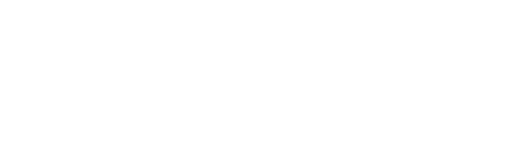 VSOL